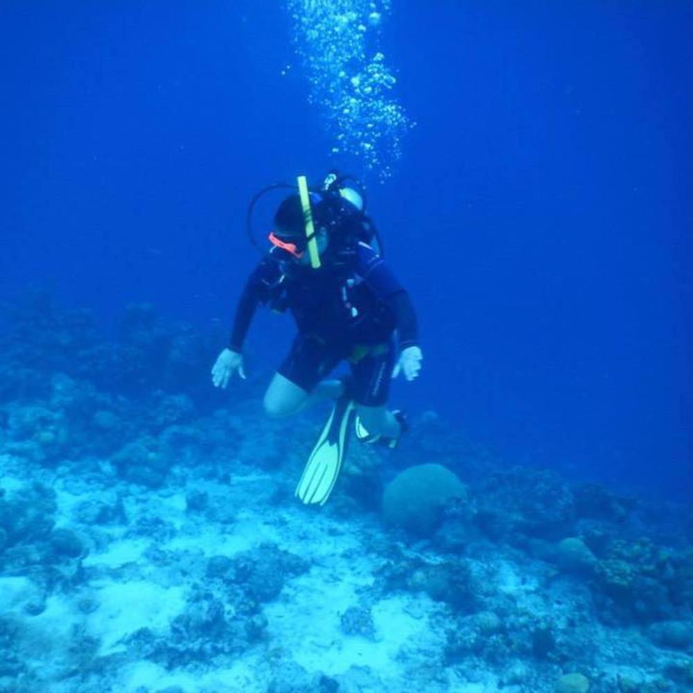 Meet your Posher, Natalie